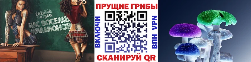 Галлюциногенные грибы мицелий  KRAKEN ссылка  Артёмовский 